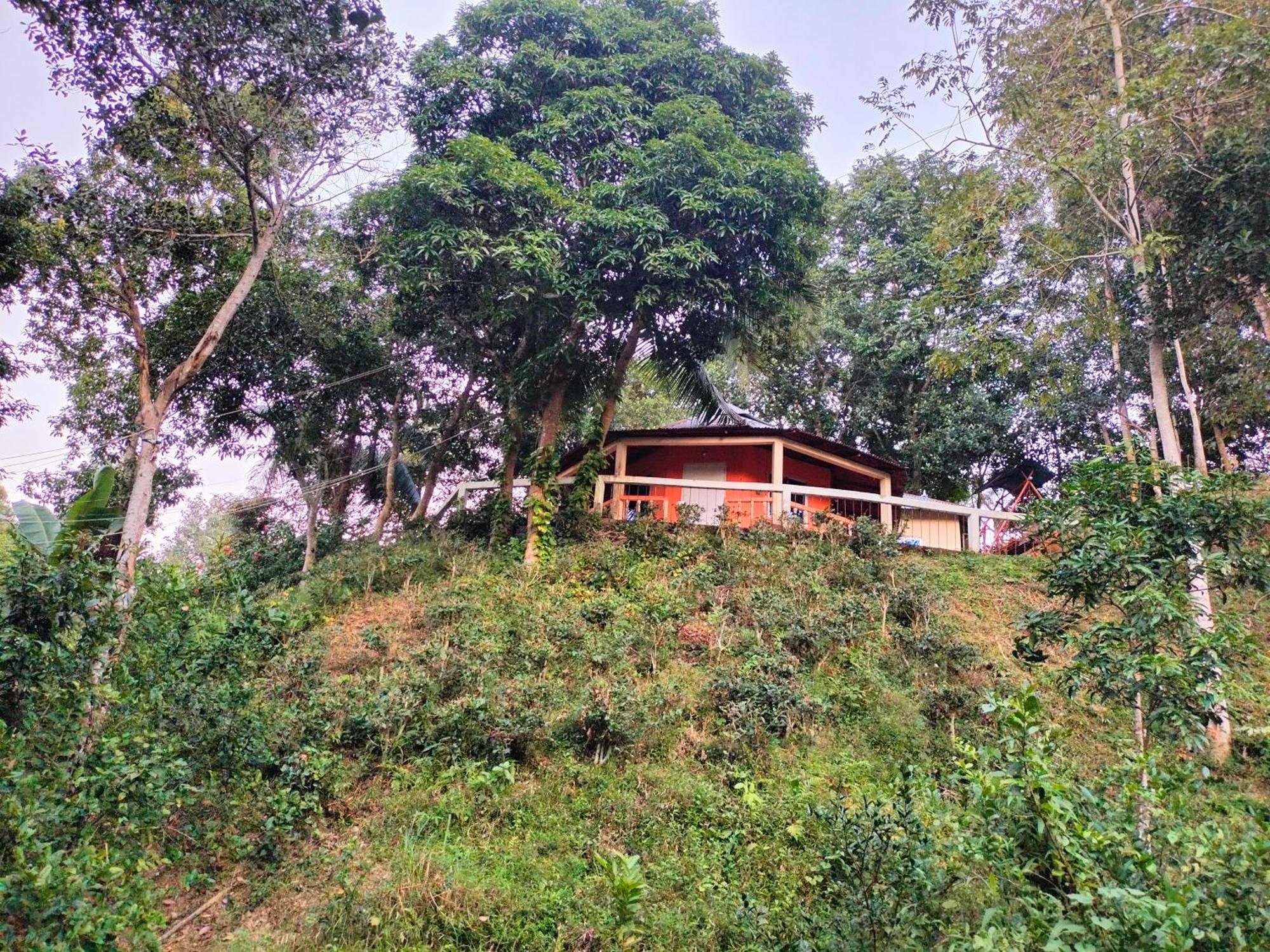 Jungle Cottage Sreemangal Værelse billede